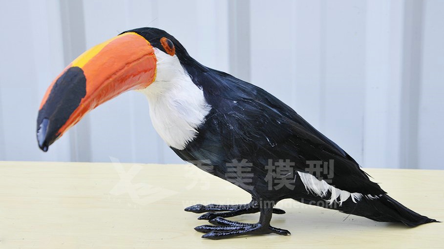动物模型-巨嘴鸟模型|秀美模型