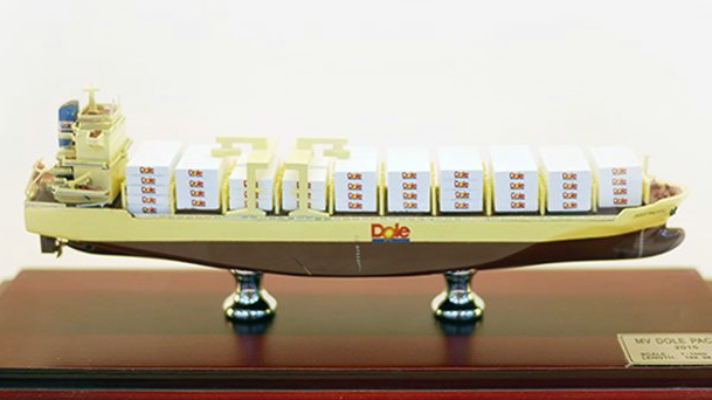 DOLE集装箱船模型