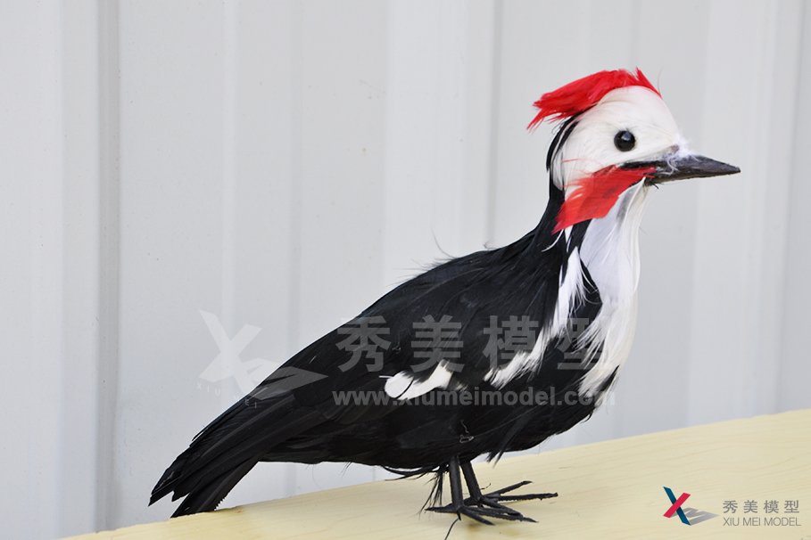 仿真动物模型-红头啄木鸟模型|秀美模型