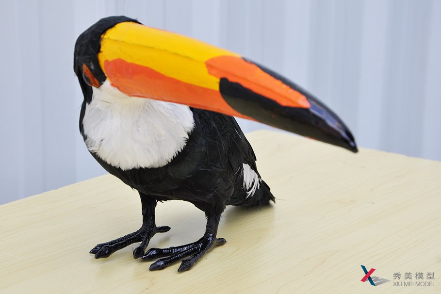 动物模型-巨嘴鸟模型|秀美模型